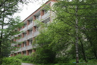 "Лесная сказка" - детям - Официальный сайт непубличного акционерного общества "Орденов Трудового Красного Знамени Первоуральский динасовый завод имени Ефима Моисеевича Гришпуна" (АО "ДИНУР")